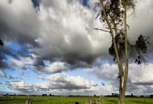 林加德：我和博格巴破坏了曼联文化？我们只想让它变得更强大.