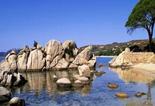 铁人，孔德自年月以来没有缺席过俱乐部和国家队比赛.